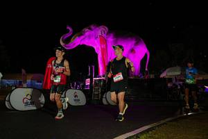 BIB: 
                            <button type="button" onclick="openModal(26543522)" class="btn btn-primary btn-sm float-right btn-popup" data-toggle="modal" data-target=".modal-high-quality">
                        <i class="fas fa-shopping-cart"></i> Add to Cart
                    </button>
                                            <button type="button" onclick="isThisMe(26543522, true)" class="btn btn-success btn-sm float-right btn-popup btn-isme hidden" data-toggle="tooltip" data-placement="bottom" title="นี่คือรูปของคุณใช่ไหม คลิกที่นี่เพื่อเอาเข้าอัลบั้ม">
                        <i class="fas fa-plus"></i> Add to album
                    </button>
                    <button type="button" onclick="isThisMe(26543522, false)" class="btn btn-warning btn-sm float-right btn-popup btn-isnotme hidden">
                        <i class="fas fa-ban"></i> Remove from album
                    </button>